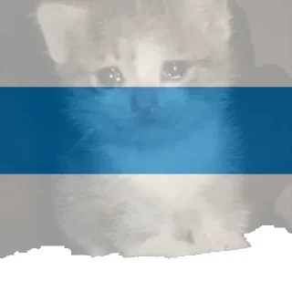 Sticker @fair_russia 🤍💙🤍 - 4