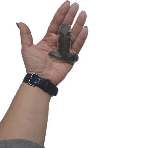 Sticker fairymemas - 1