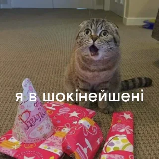 Стикер @fakultatyv - 4