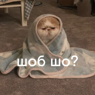 Стикер @fakultatyv - 10