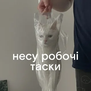 Стикер @fakultatyv - 9