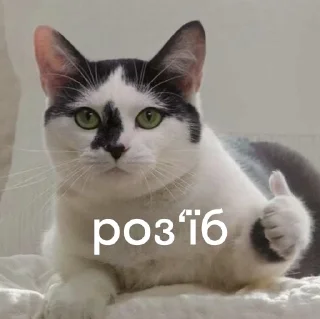 Стикер @fakultatyv - 8