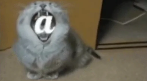 животное млекопитающее мех