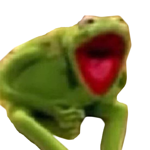 лягушка амфибия животное