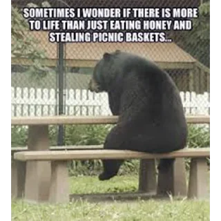 Sticker Black Bear - 7