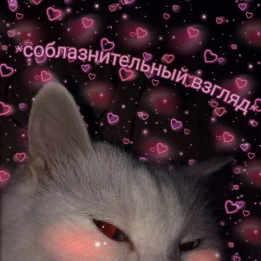 Sticker fav0urit - 1