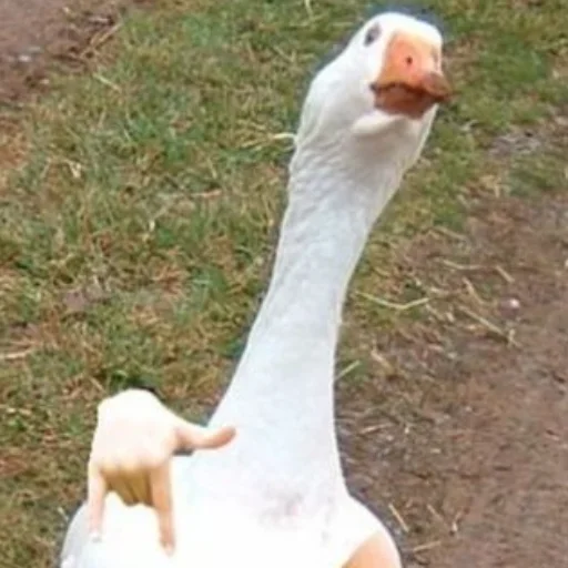 Sticker fav0urit - 1