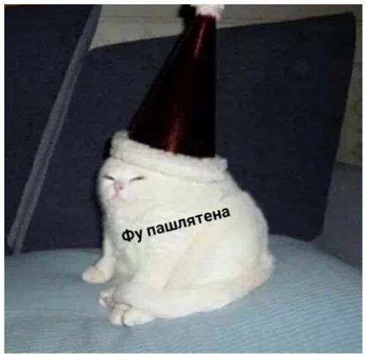 кошки малого и среднего размера бутылка кошачьи