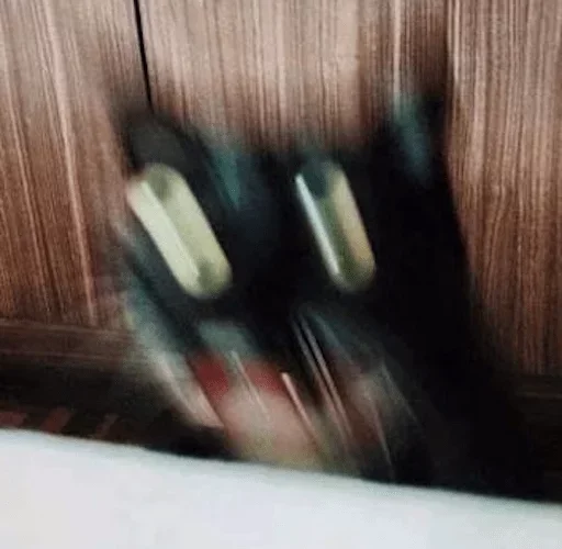 Размыто комнатный смазывать