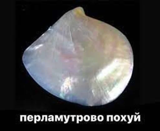 животное беспозвоночный