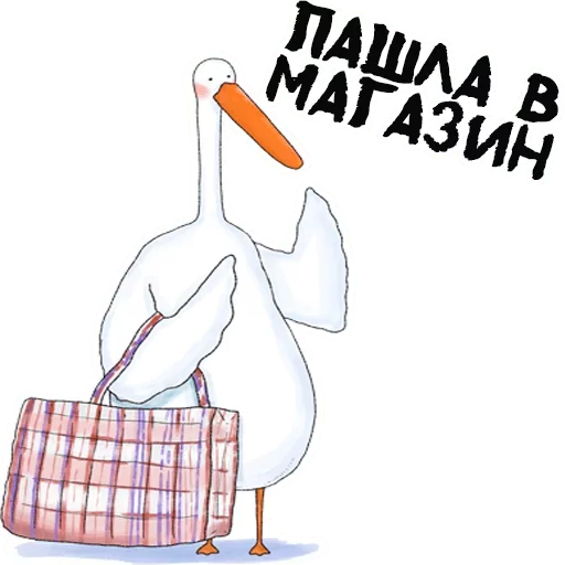 bird animal aquatic bird