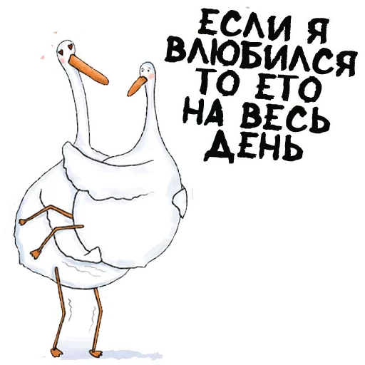 bird drawing clipart