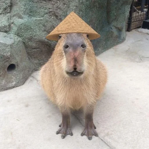 Sticker favstickaizawasimp - 1