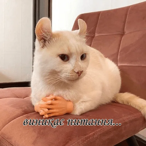 Стикер favstickerspack - 1