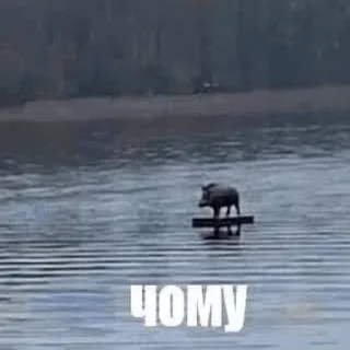 Стикер My fav stickers - 1