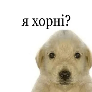 Стикер My fav stickers - 9