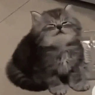 Стикер My fav stickers - 8