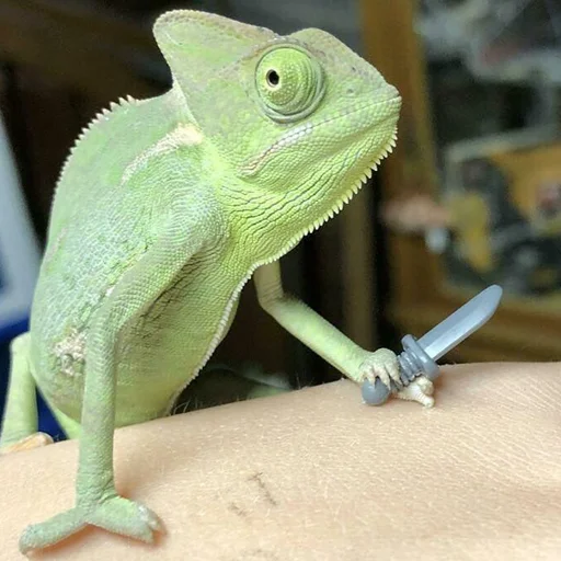 пресмыкающееся млекопитающее ящерица