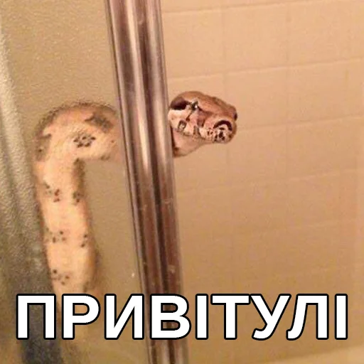 СМС душ комнатный