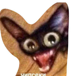 Sticker Котики - 5