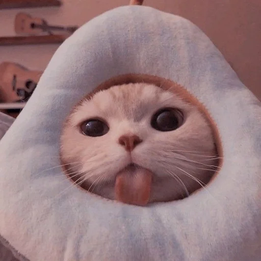 Стикер fbyblnn :: @fStikBot - 11