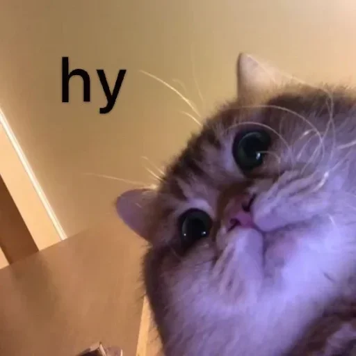 Стикер fbyblnn :: @fStikBot - 10