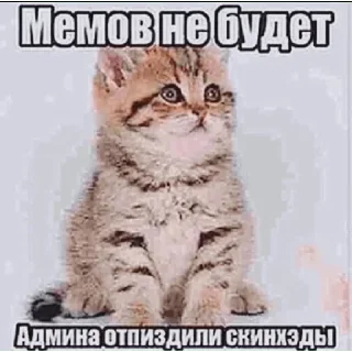 Sticker @stiki_tg_nah_canal - 0