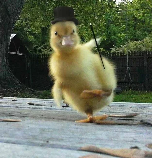 Больше стикеров 👉🏻 @stickertg4 - 