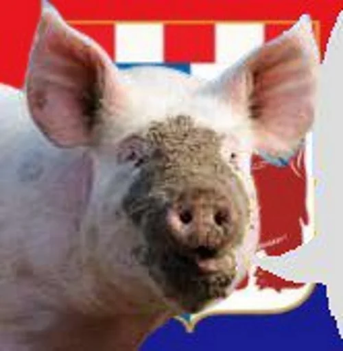 Стикер fckzpdncv - 1