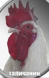 Стикер Антизападенський стікерпак by хуясті українські альфачі - 11