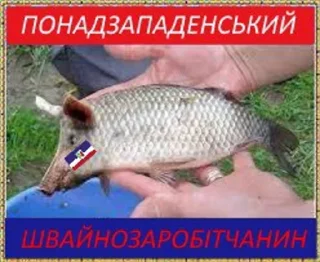 Стикер Антизападенський стікерпак by хуясті українські альфачі - 2