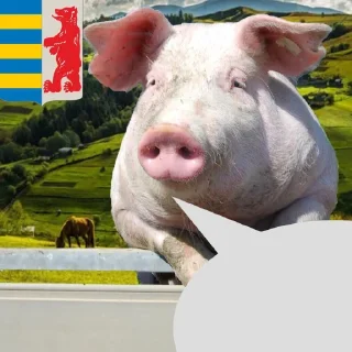 Стикер Антизападенський стікерпак by хуясті українські альфачі - 4