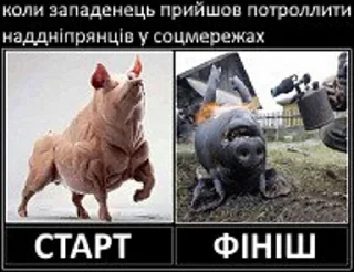 Стикер Антизападенський стікерпак by хуясті українські альфачі - 8