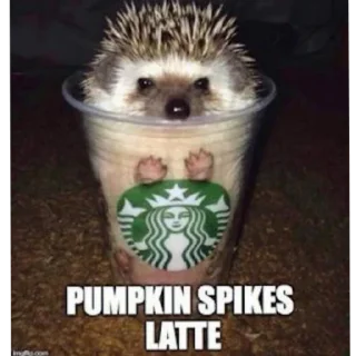 Стикер ежики - 10