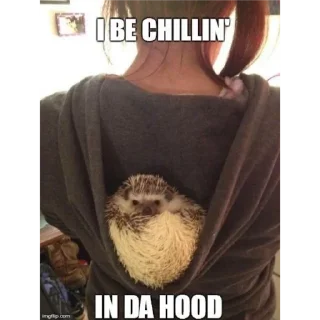 Стикер ежики - 4