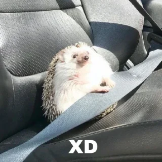 Стикер ежики - 8