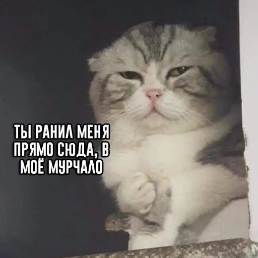 Sticker fdgpreokl - 1