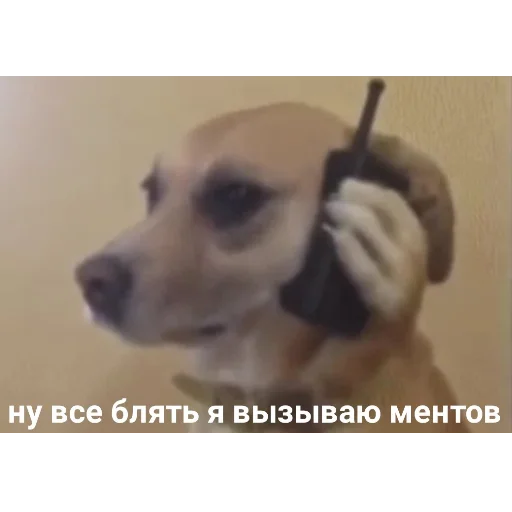 Sticker fdgpreokl - 1