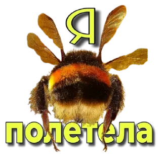 Sticker .｡.:*✧[𝚏𝚞𝚛𝚒𝚢𝚊]✧*:. - 8