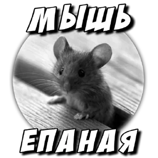 Sticker .｡.:*✧[𝚏𝚞𝚛𝚒𝚢𝚊]✧*:. - 6