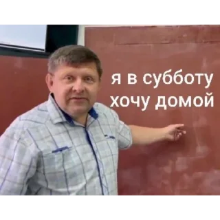 Sticker пустите его уже домой - 6