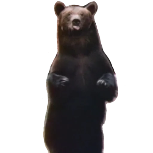 Стикер fed_ya - 1