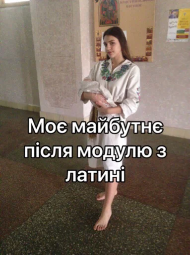 Sticker ФЛУ-11 - 1