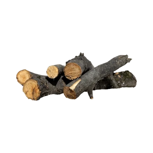 goblincore.🧙🏻🪜 :: @fStikBot - гриб