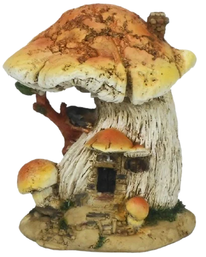 fungus mushroom edible mushroom