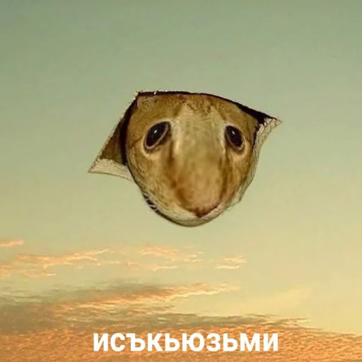 СМС небо скриншот