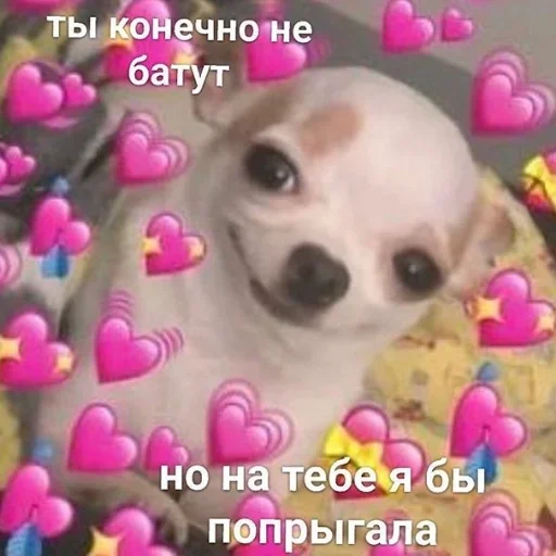 Sticker Филешка лучшая. by @fStikBot - 0