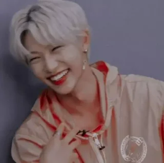 Sticker stray kids is the best - 5