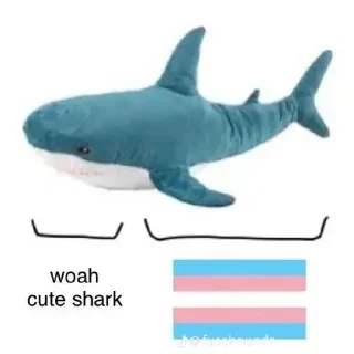 акула мягкоплавниковая рыба животное