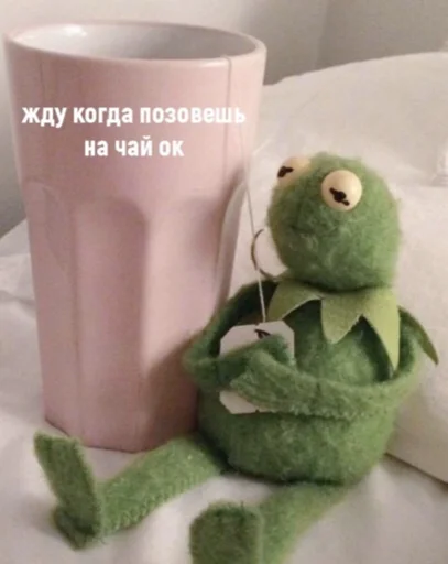 indoor stuffed toy toy